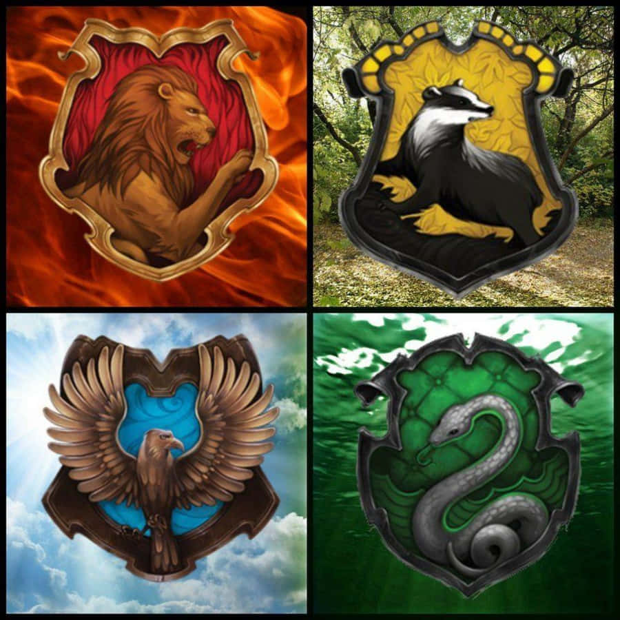 Which Hogwarts House Are You In?" Wallpaper