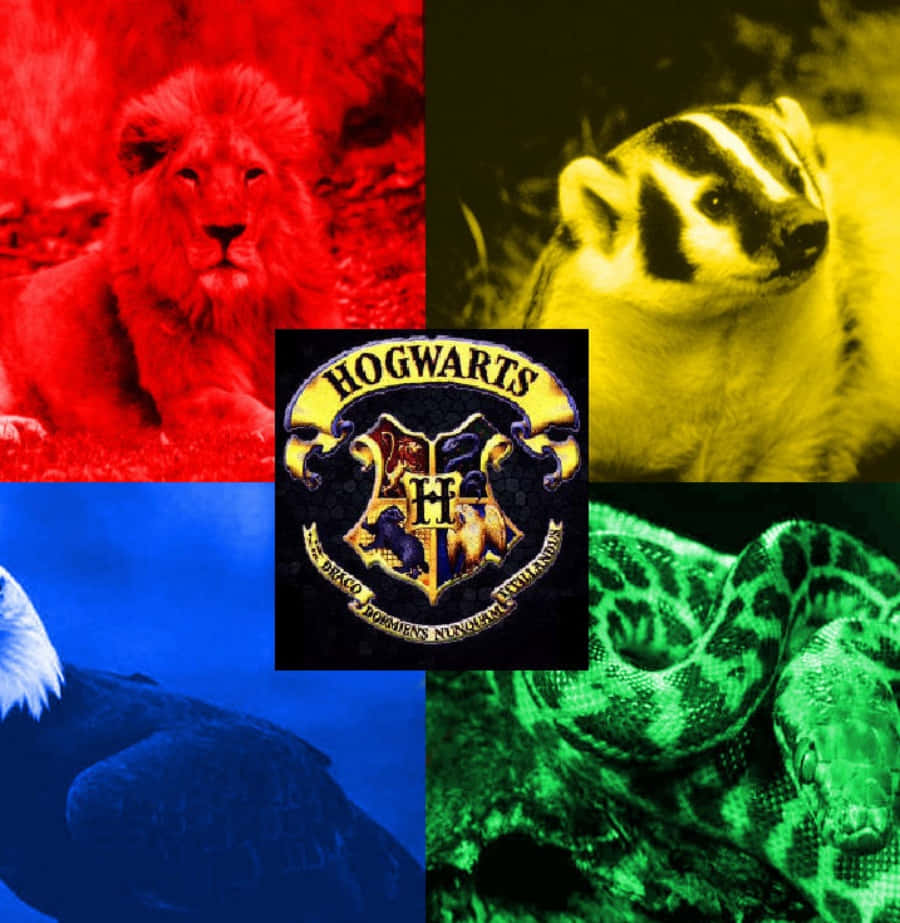 The four Hogwarts houses - Gryffindor, Hufflepuff, Ravenclaw and Slytherin Wallpaper