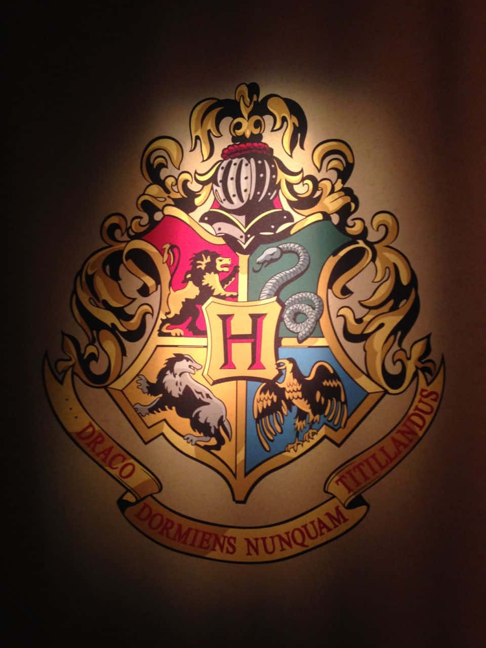A colorful representation of the four Hogwarts Houses from the Harry Potter franchise Wallpaper