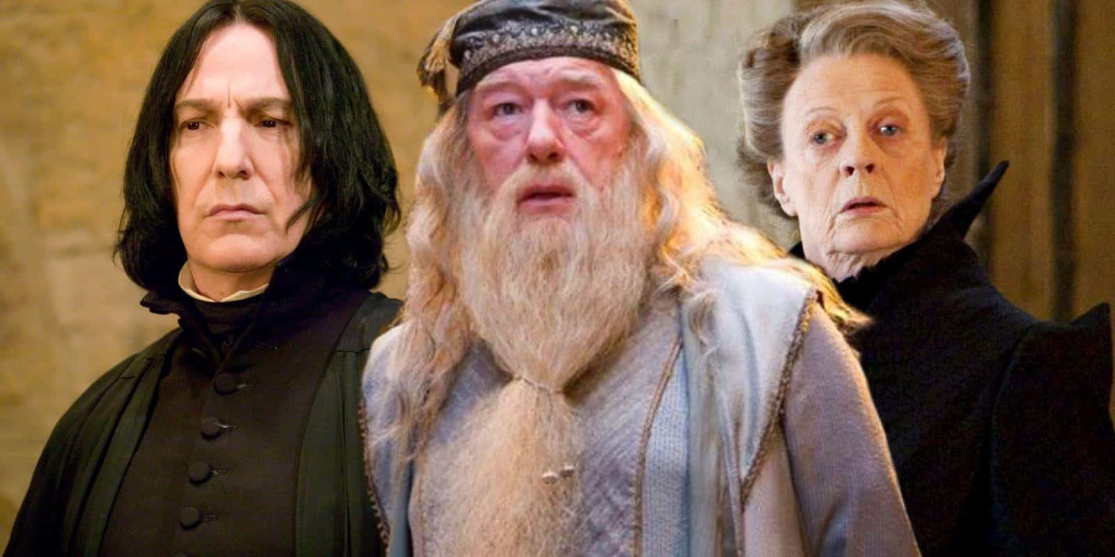 Imagenlos Profesores De Hogwarts Reuniéndose En Hogwarts. Fondo de pantalla