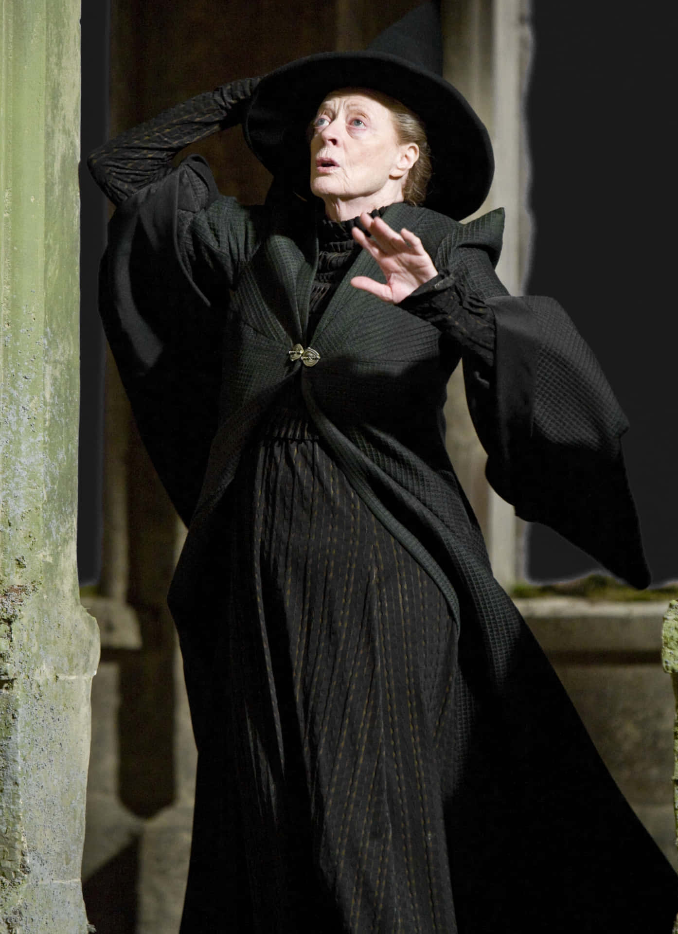 Elprofesor Albus Dumbledore Y La Profesora Minerva Mcgonagall En Hogwarts Fondo de pantalla