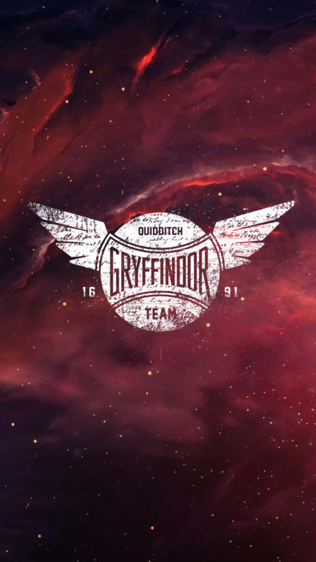 The Champions of The Hogwarts Quidditch Team Wallpaper