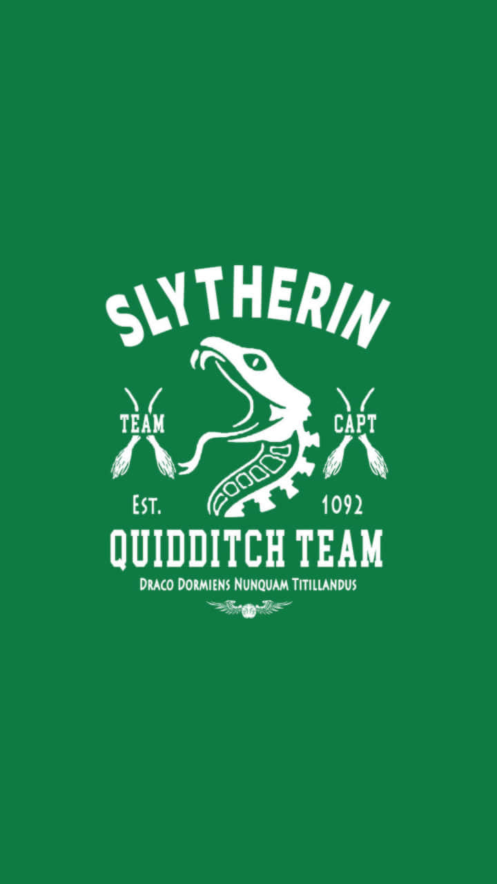 The Hogwarts Quidditch Team Takes Flight Wallpaper