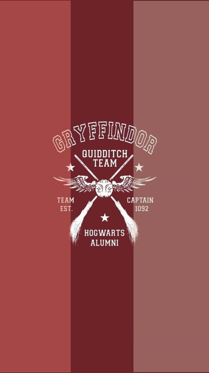 The Hogwarts Quidditch Team Honors its 10th Championship Victory Wallpaper