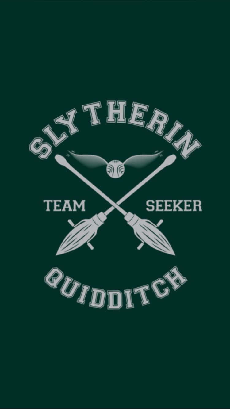 The Hogwarts Quidditch team dominated in their first match. Wallpaper