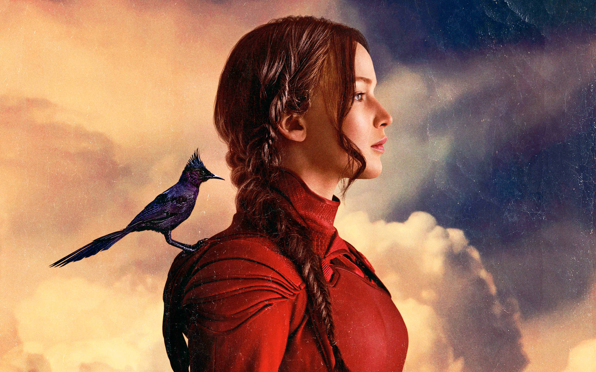 Die Tribute Von Panem Katniss Mockingjay Wallpaper