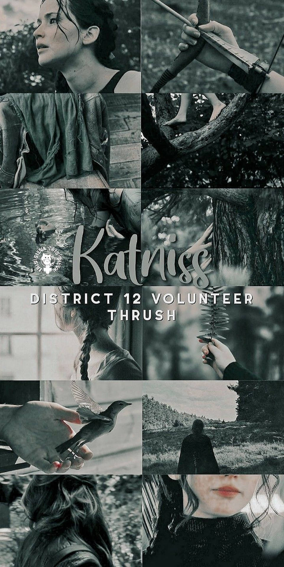 The Hunger Games Mood Board Wallpaper
