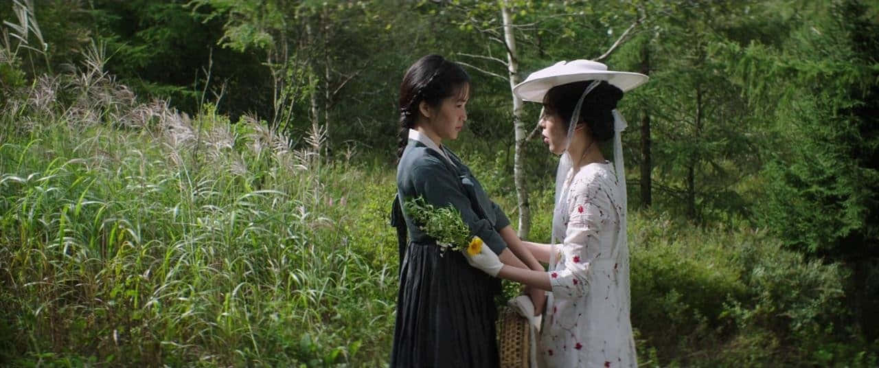 The Intricate Charm Of "the Handmaiden" Wallpaper