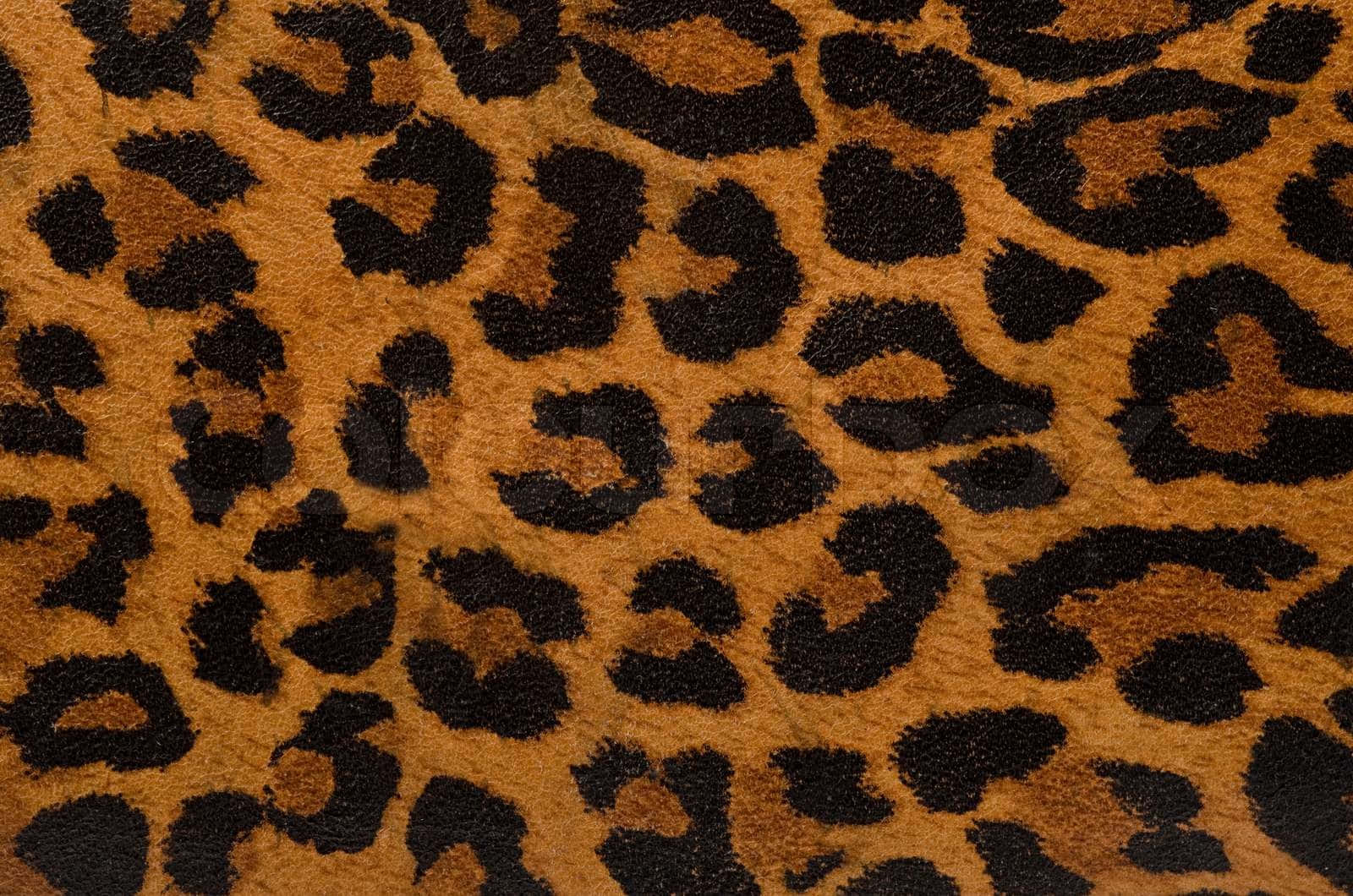 The Intricate Patterns Of Animal Fur