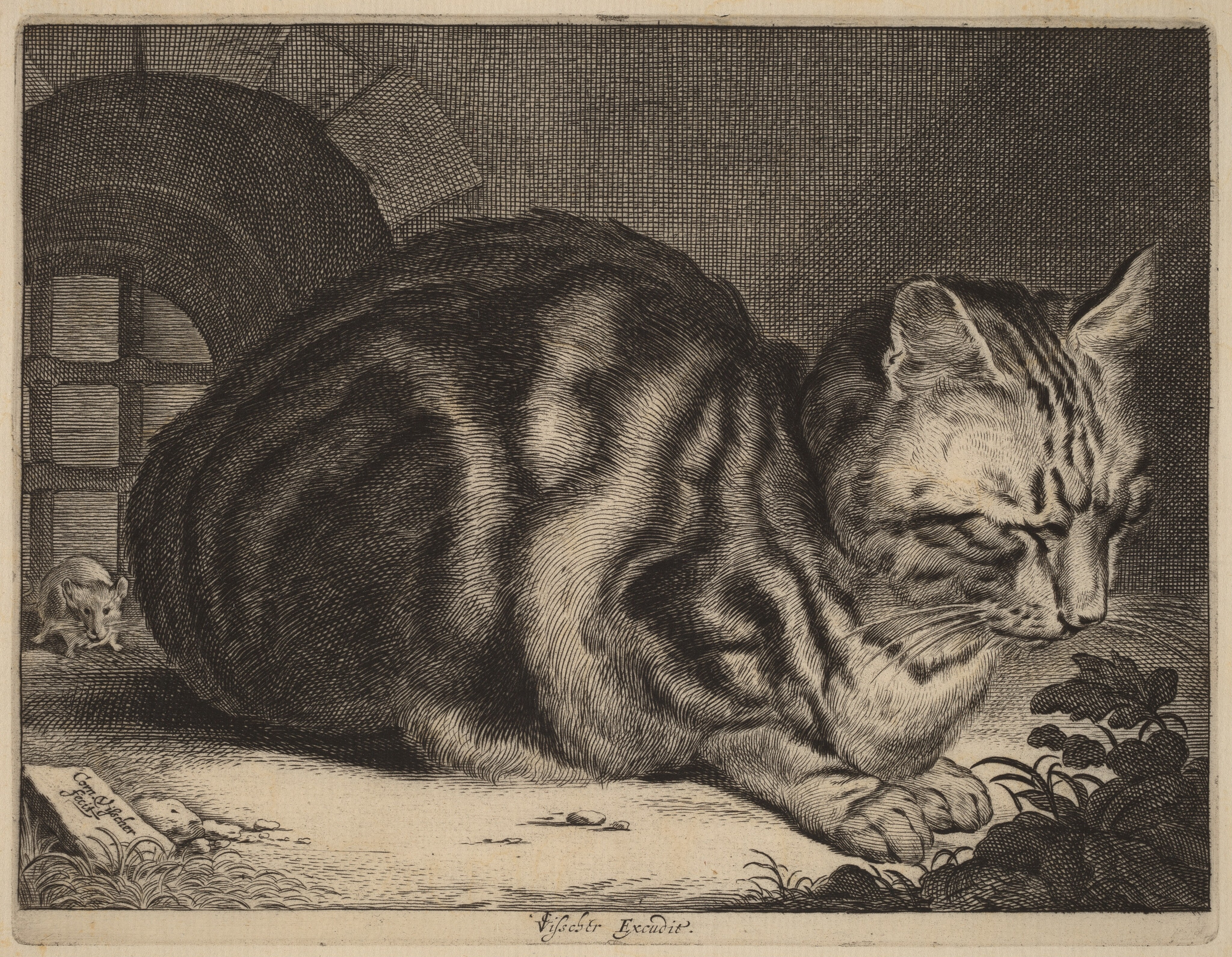 The Large Cat Wallpaper