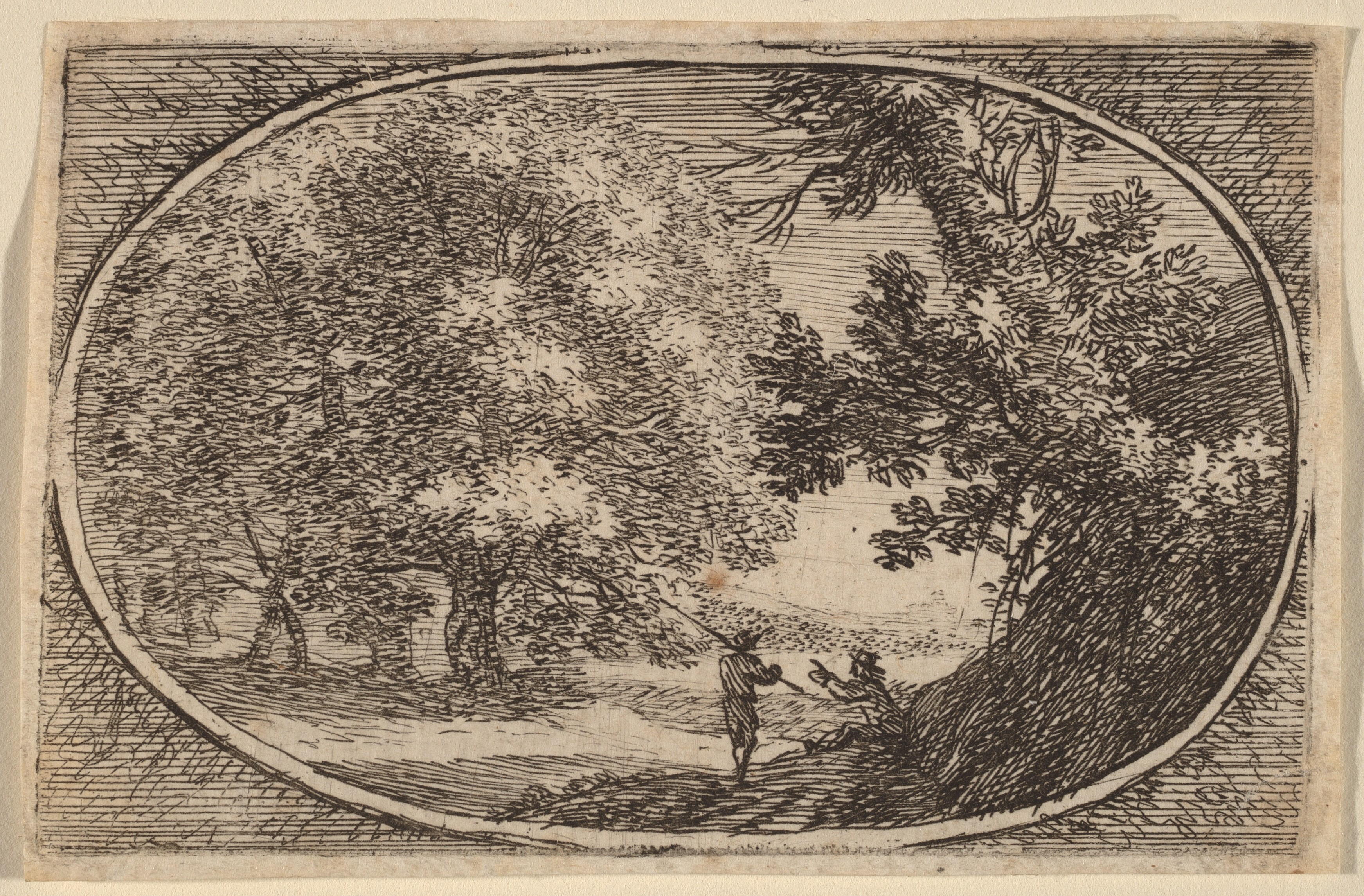 The Large Tree Wallpaper