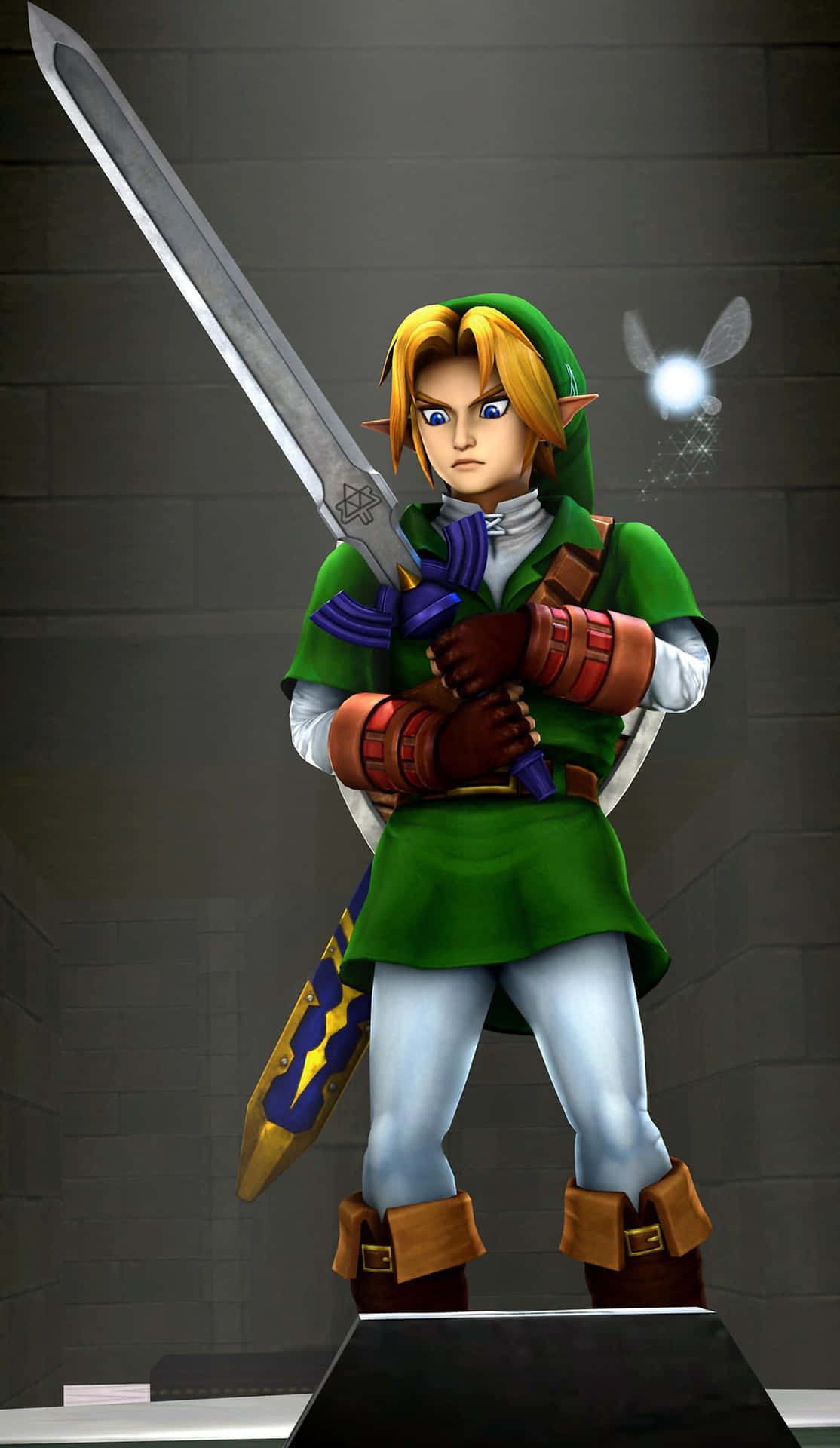 Navide The Legend Of Zelda Guiando A Link En Su Aventura. Fondo de pantalla