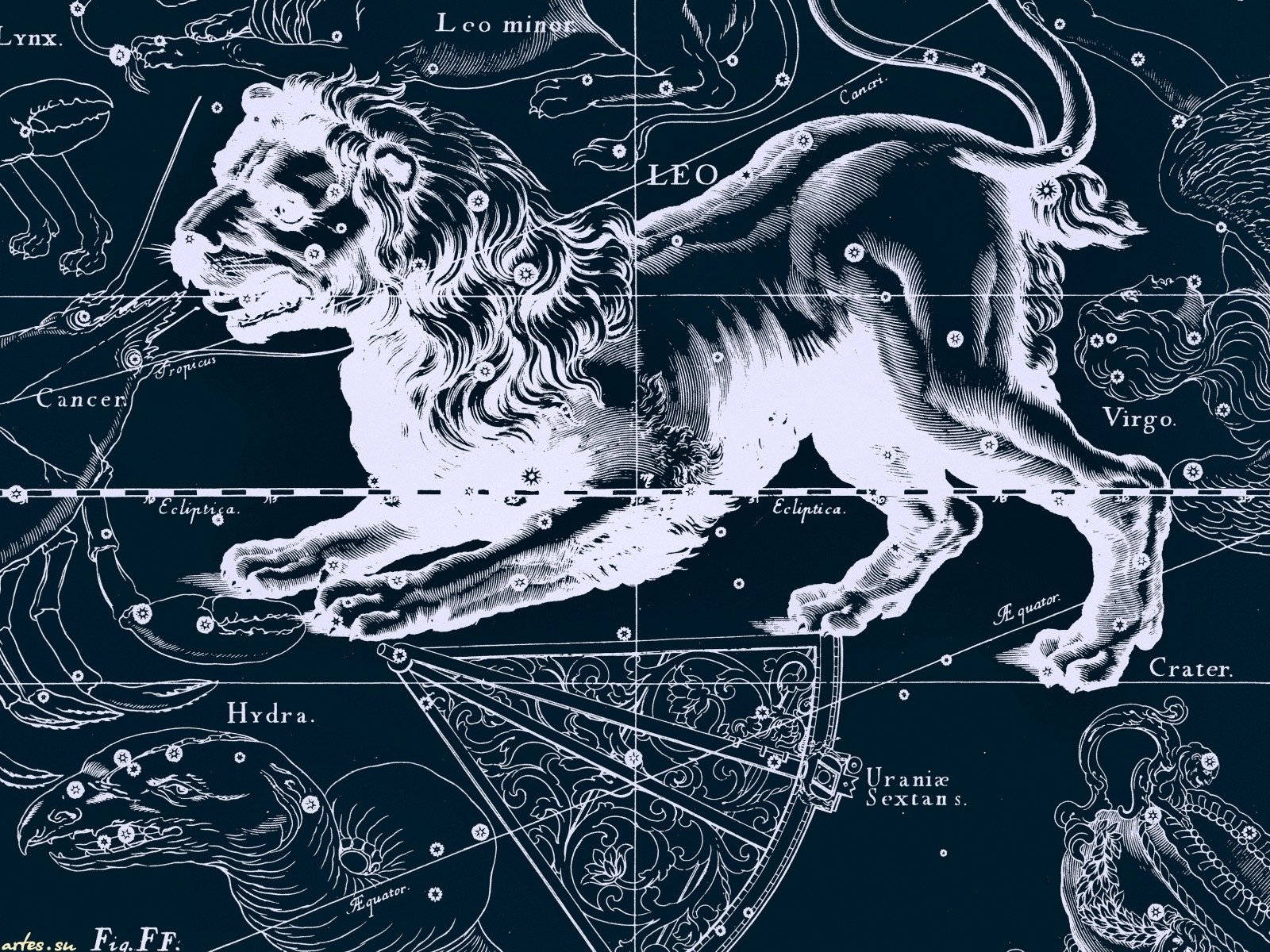 The Lion And Leo Constellation Wallpaper