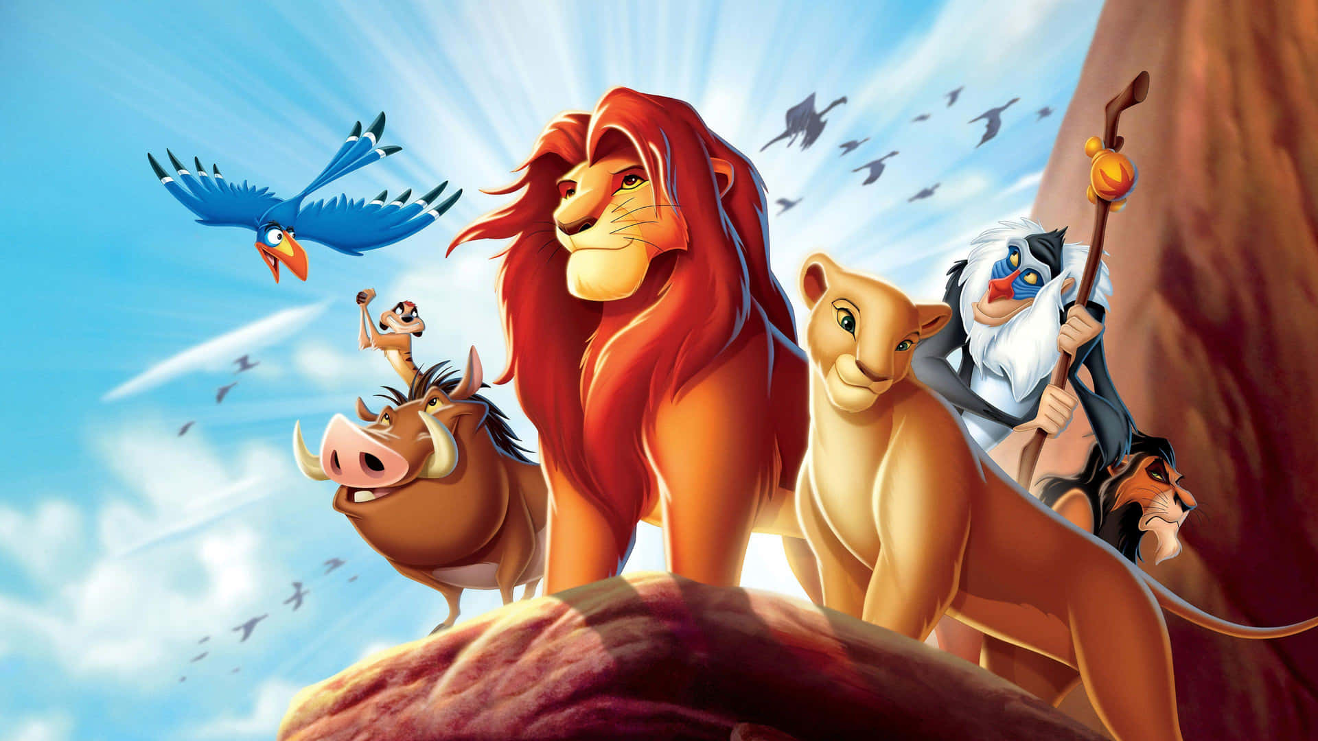 The Lion King Animated Characters Pride Rock Wallpaper