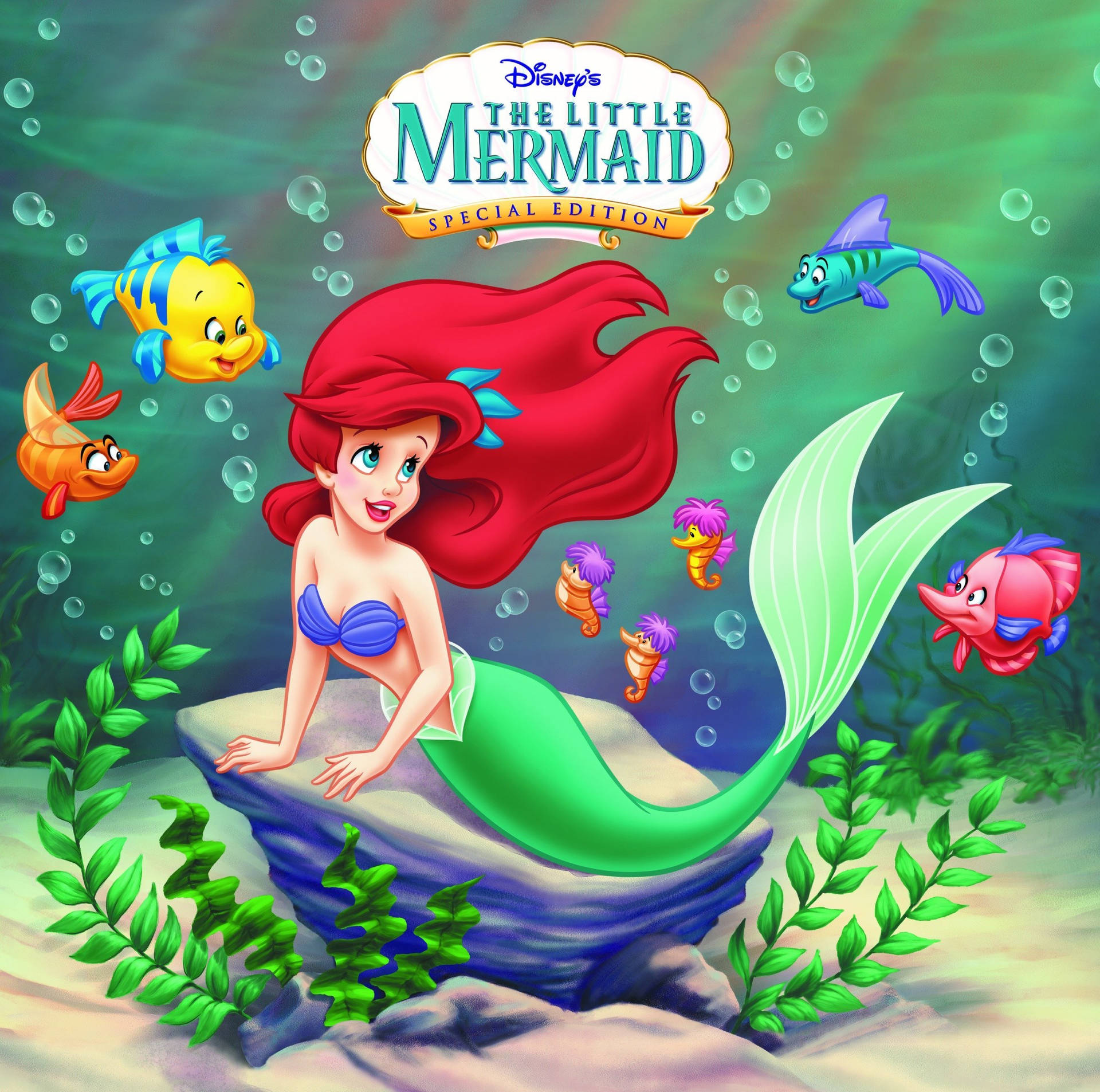 The Little Mermaid Special Edition Wallpaper