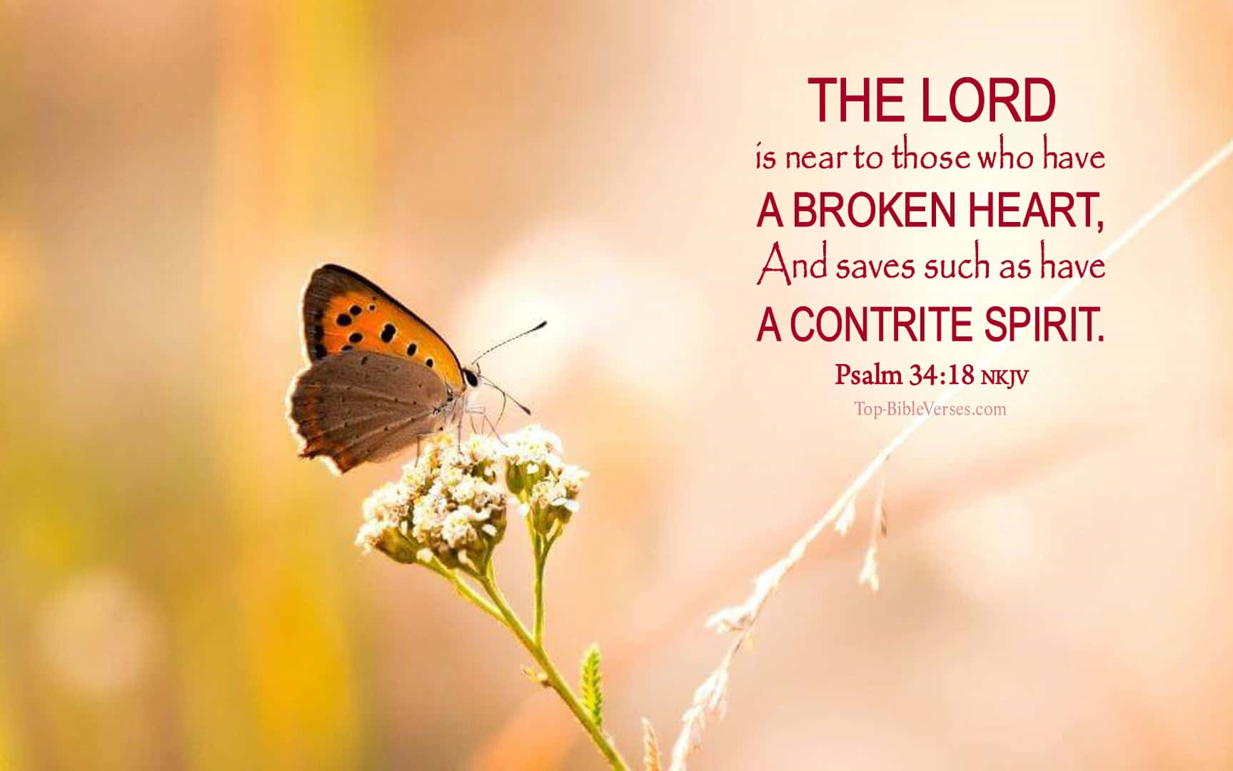 The Lord Saves The Contrite Wallpaper
