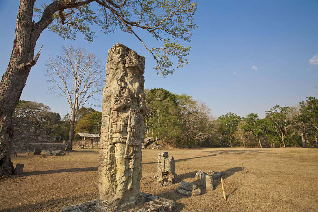 The Majestic Mayan Ruins Of Copan Wallpaper