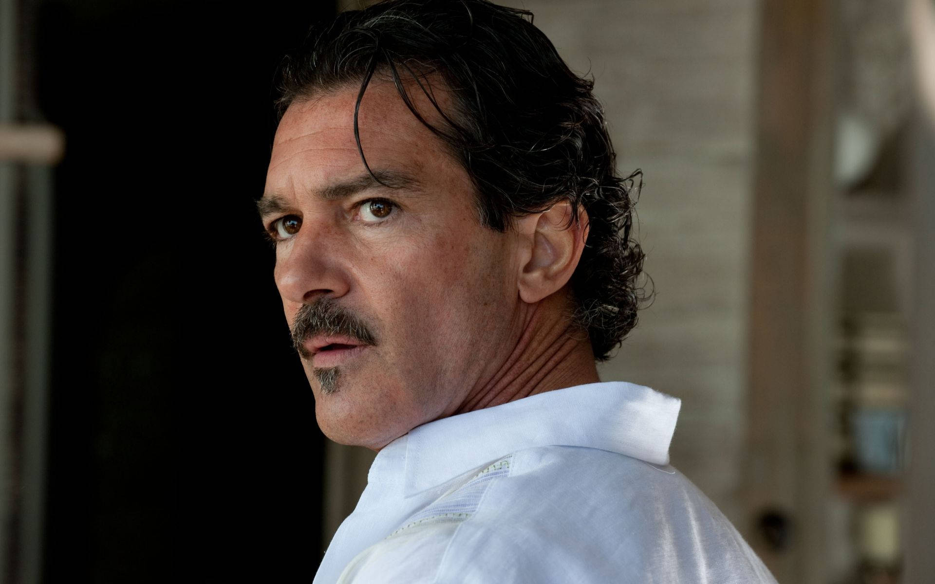 Download Antonio Banderas in a scene from his iconic role in