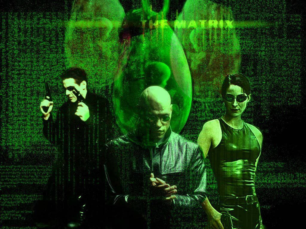 Enter the Matrix Wallpaper