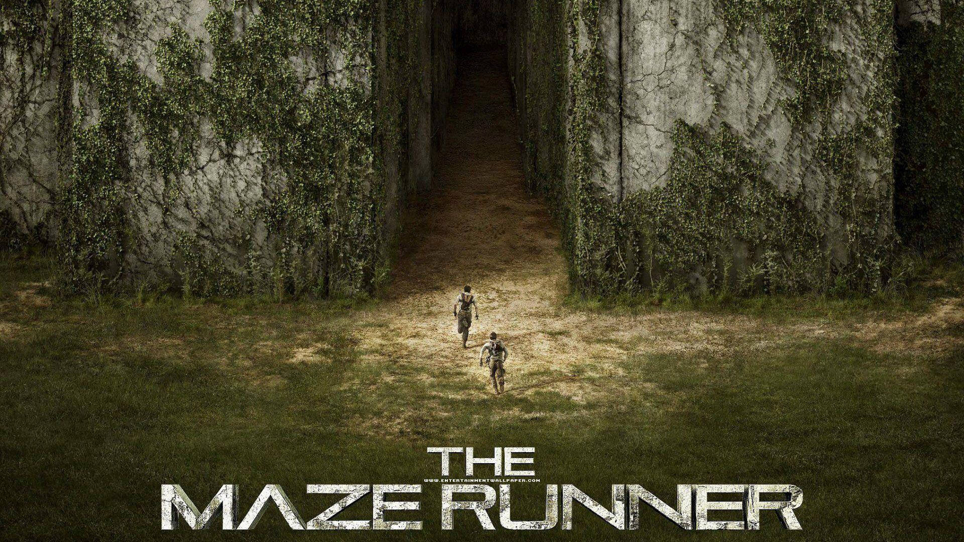The Maze Runner Official Poster Wallpaper