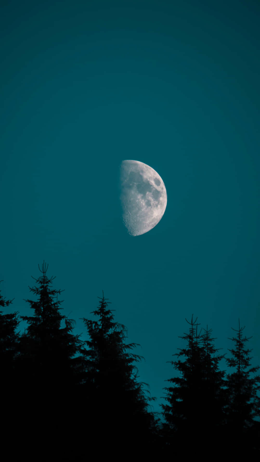 Lasilueta De La Luna En Los Árboles Del Iphone. Fondo de pantalla