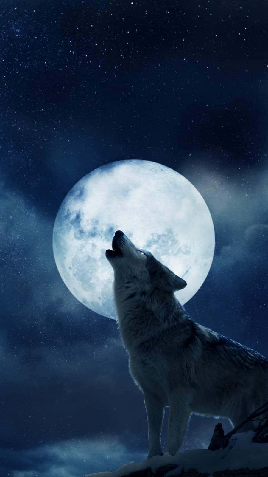 The Moon Iphone Wolf Wallpaper