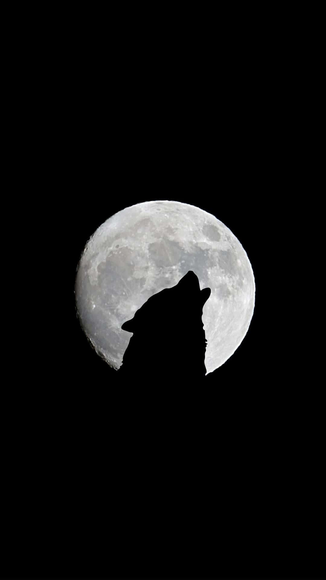 The Moon Silhouette Wolf Iphone Wallpaper