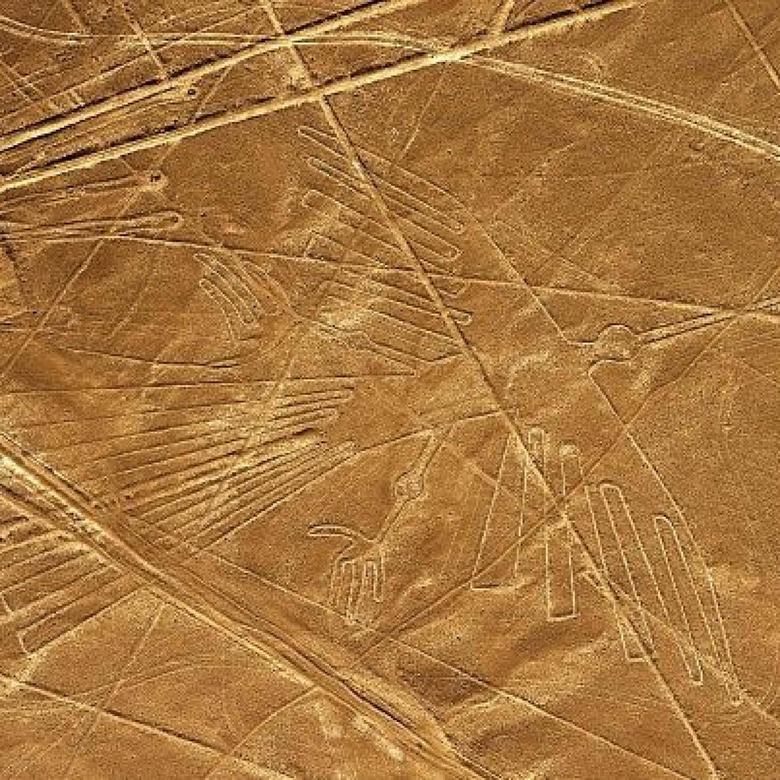 Les Lignes De Nazca Fond d'écran