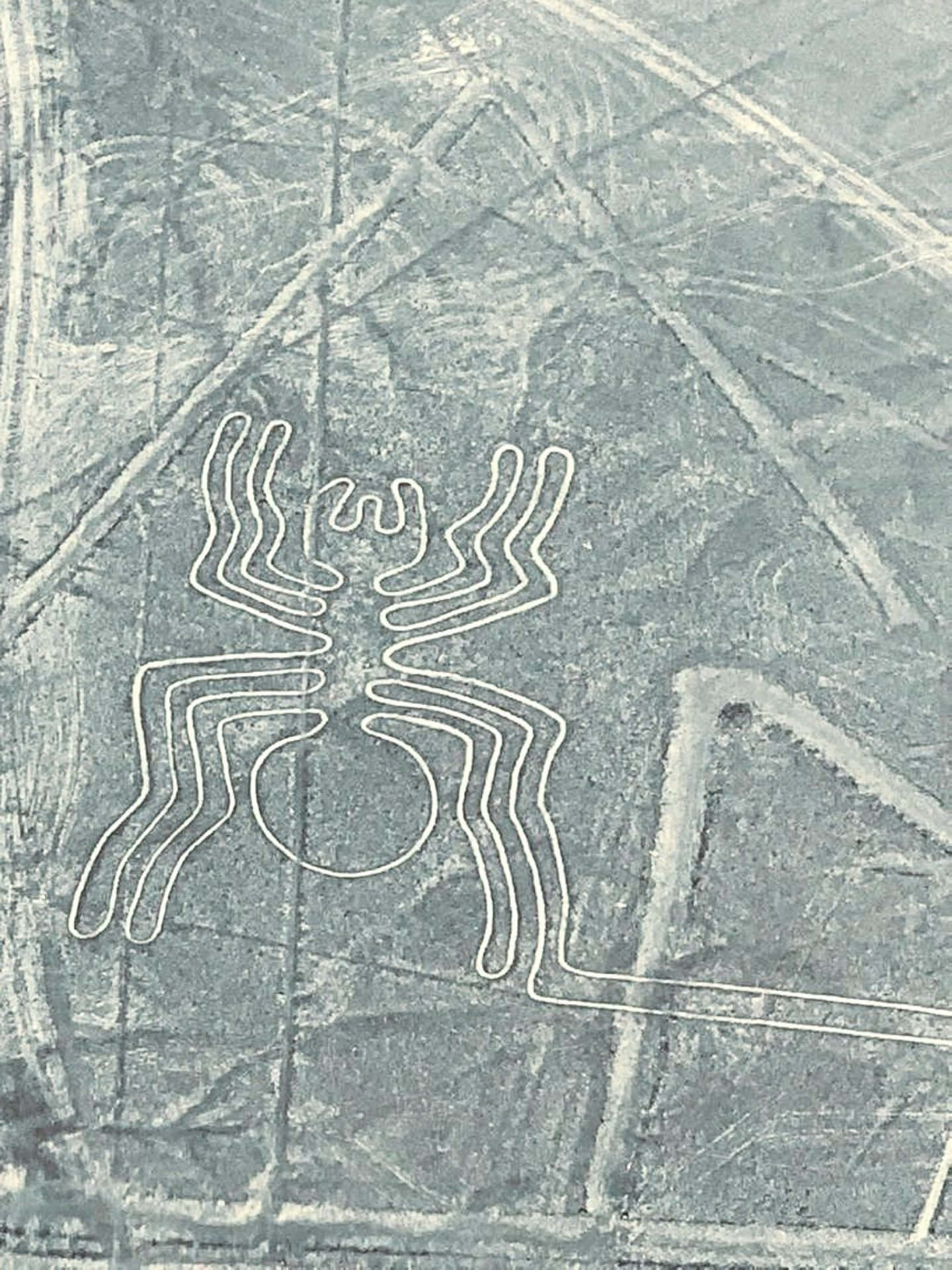 Les Lignes De Nazca Fond d'écran