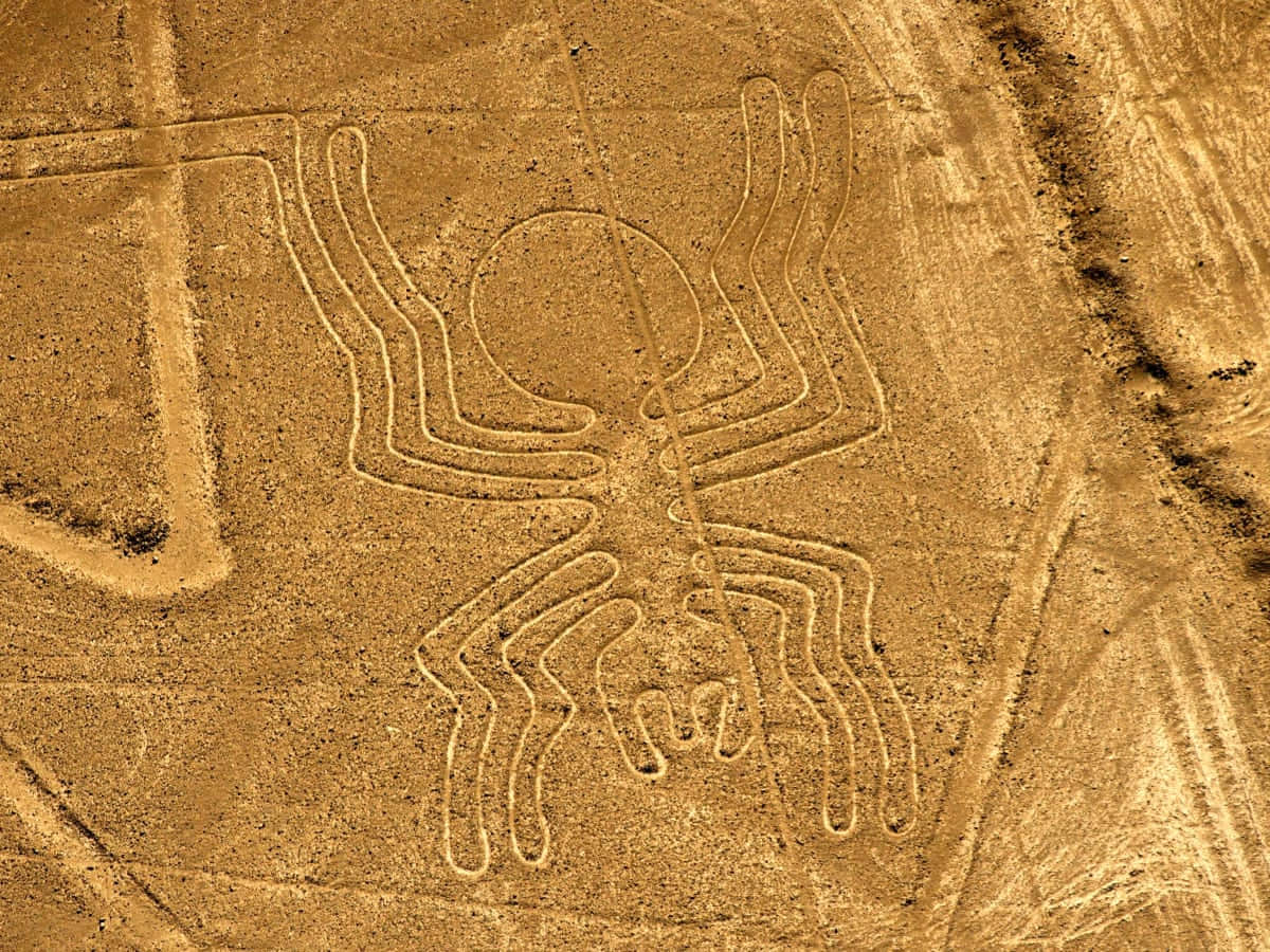 Les Lignes De Nazca Fond d'écran