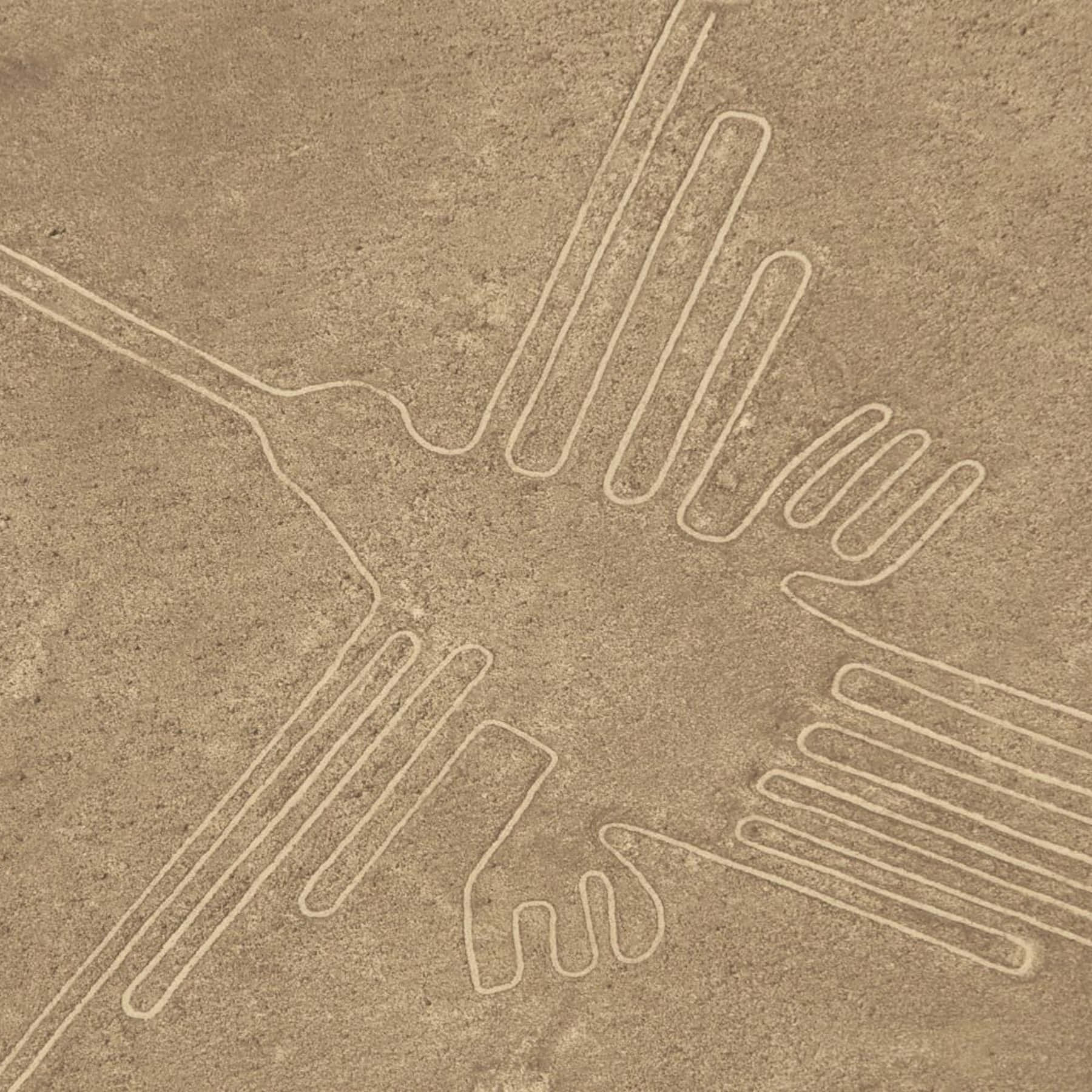 Les Lignes De Nazca Fond d'écran