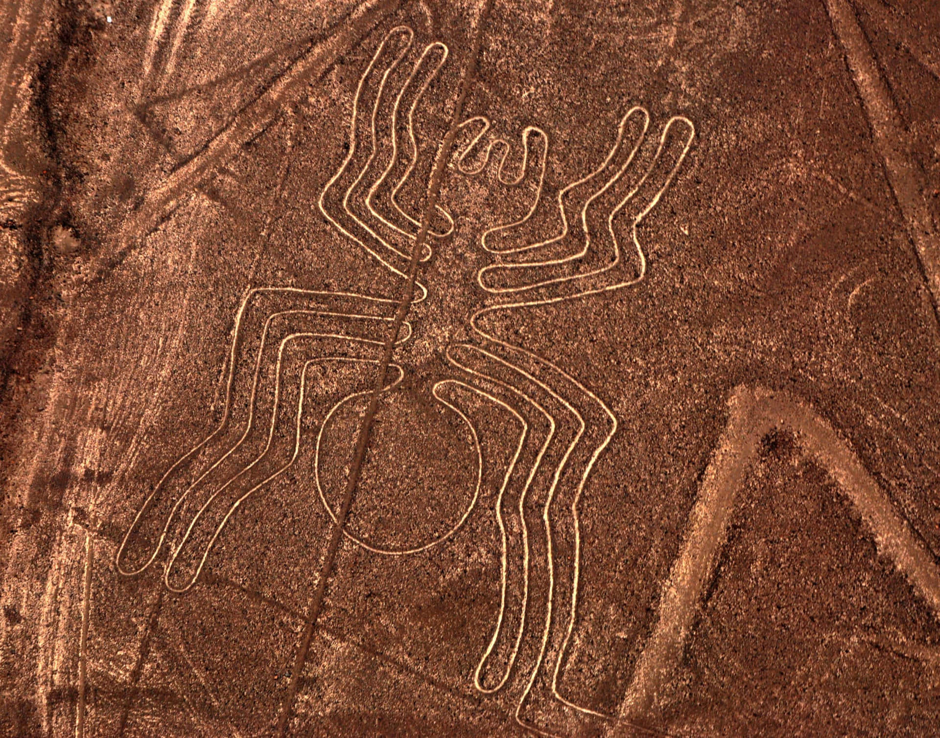 Les Lignes De Nazca Fond d'écran