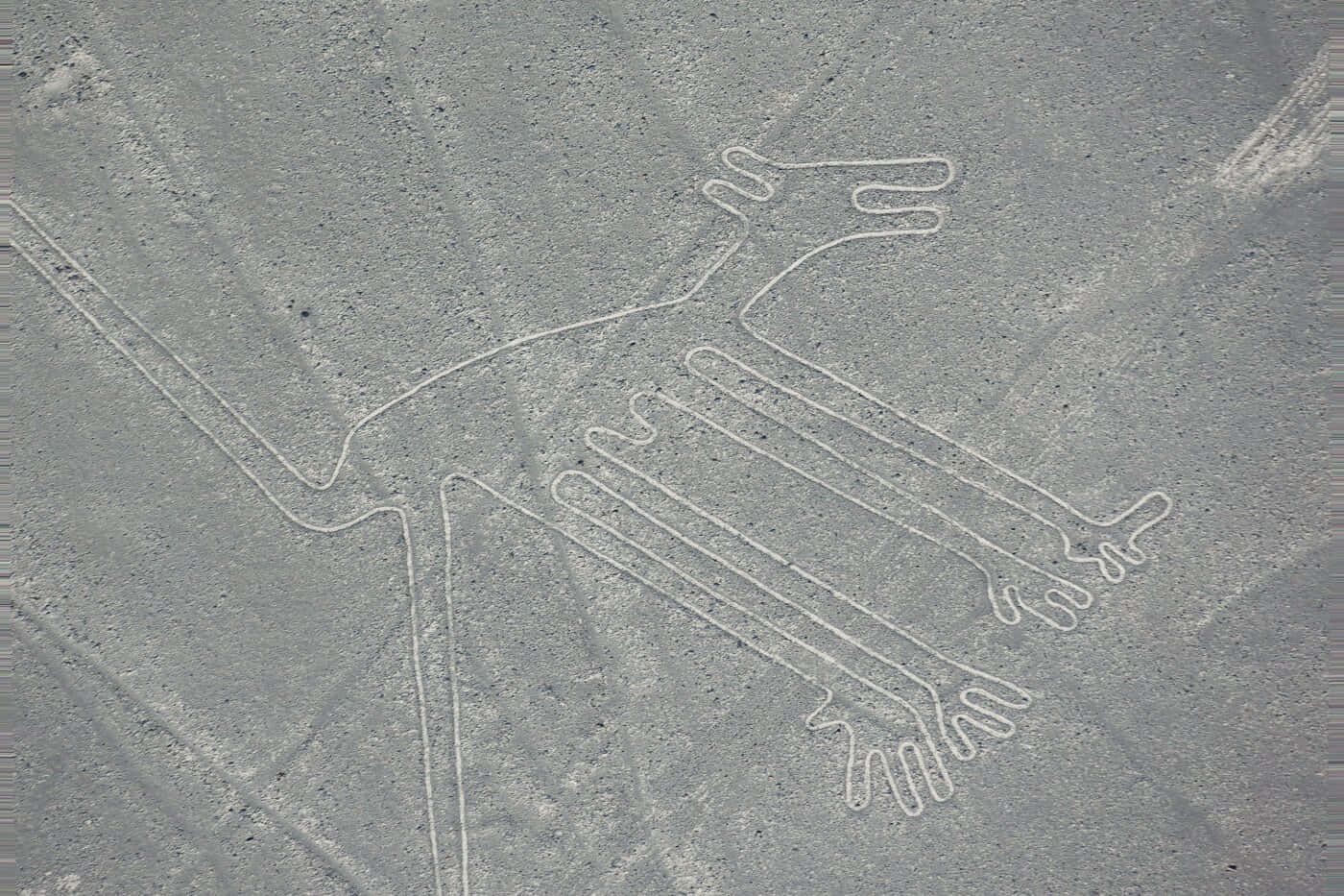 Intrigerend Luchtbeeld Van De Nazca-lijnen Achtergrond