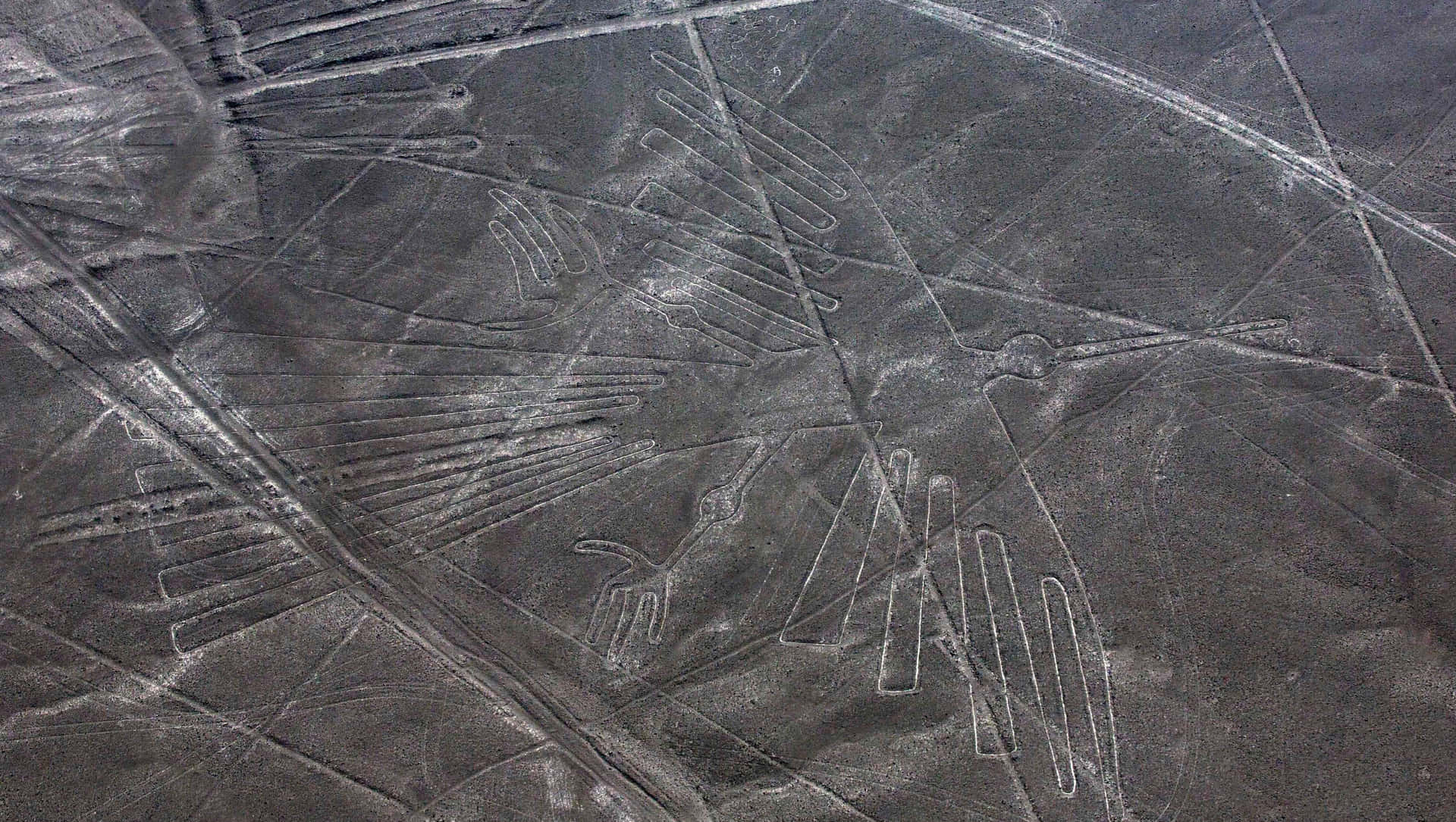 Les Lignes De Nazca Fond d'écran