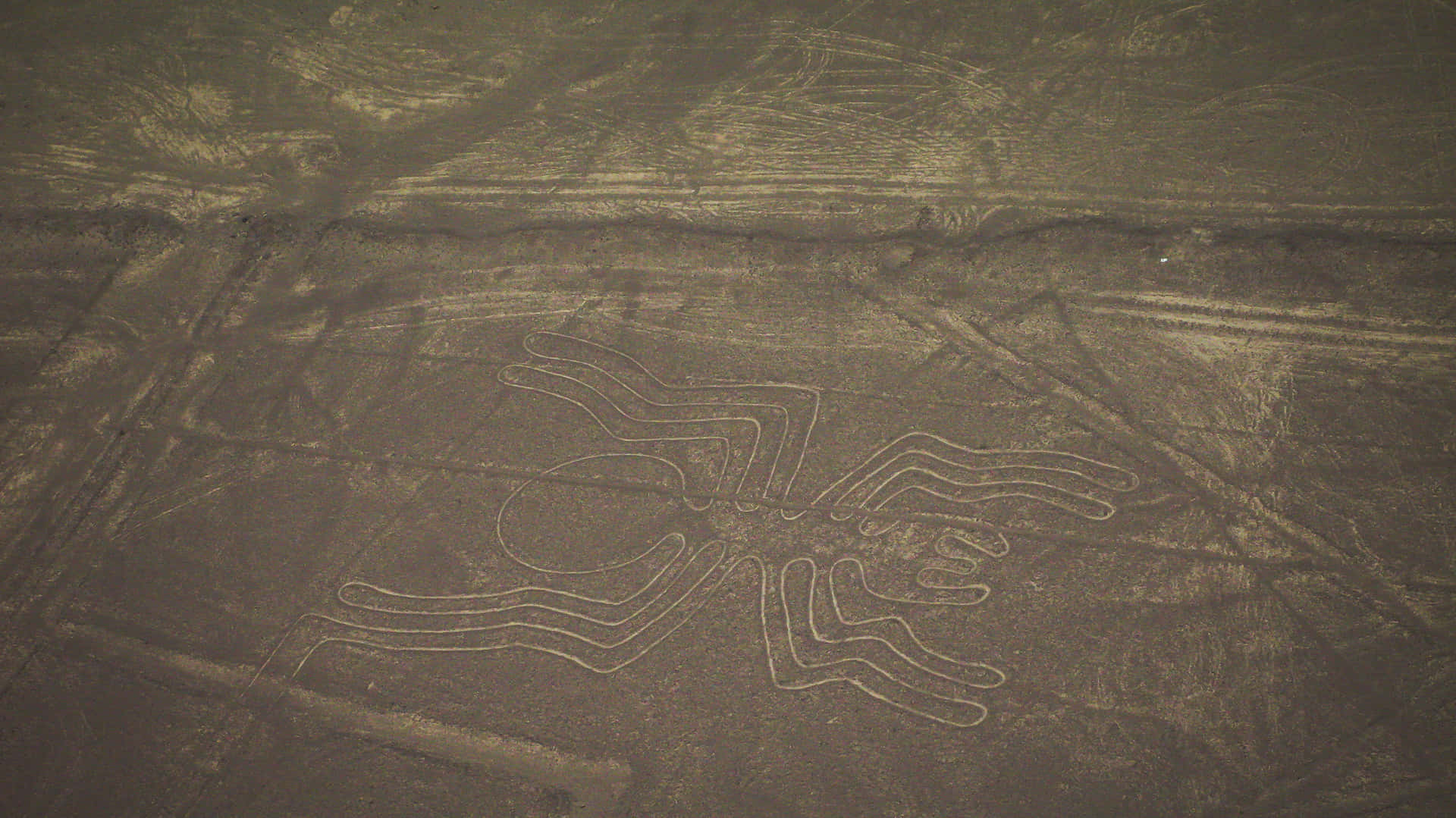 Les Lignes De Nazca Fond d'écran