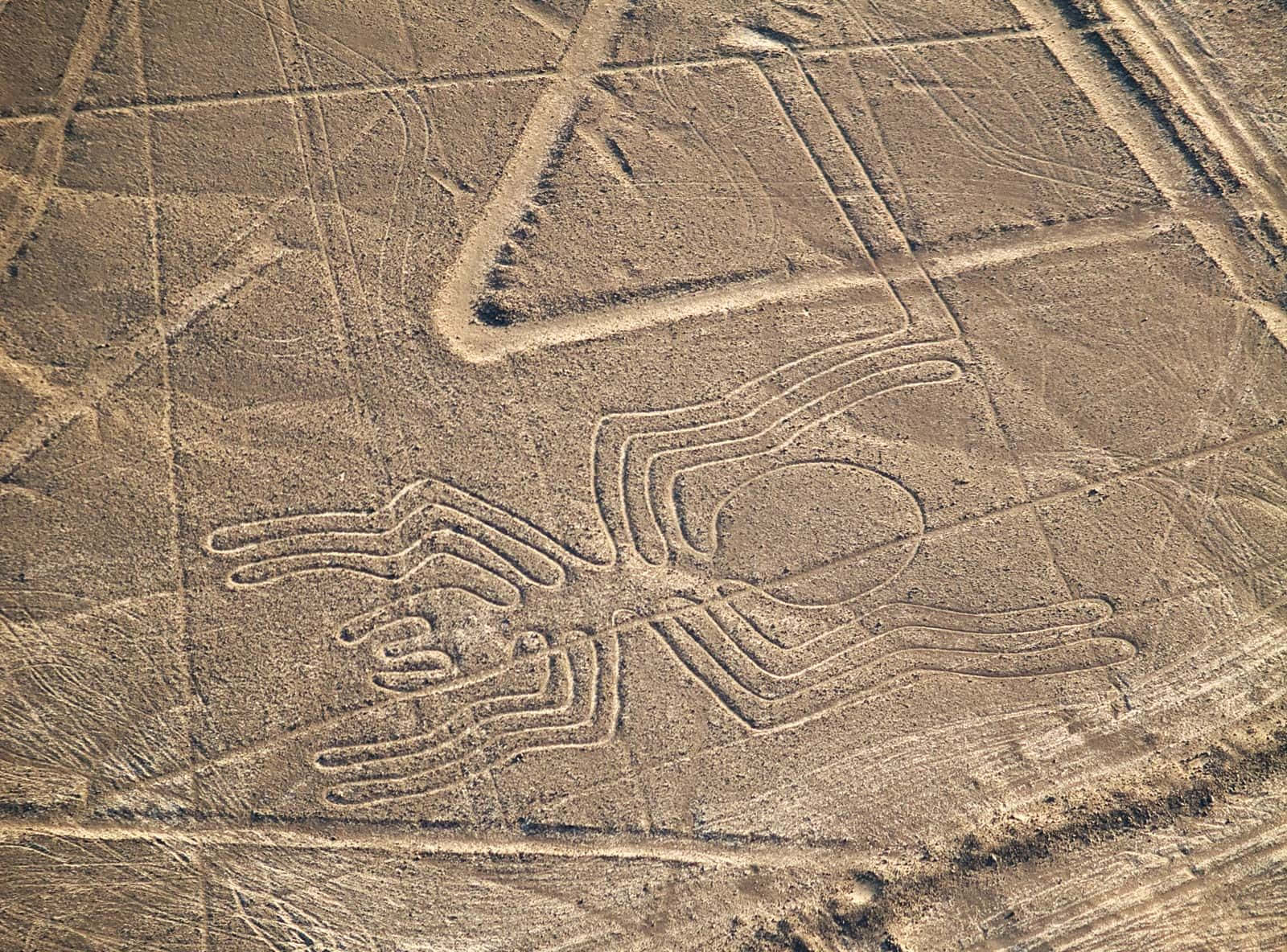 Les Lignes De Nazca Fond d'écran