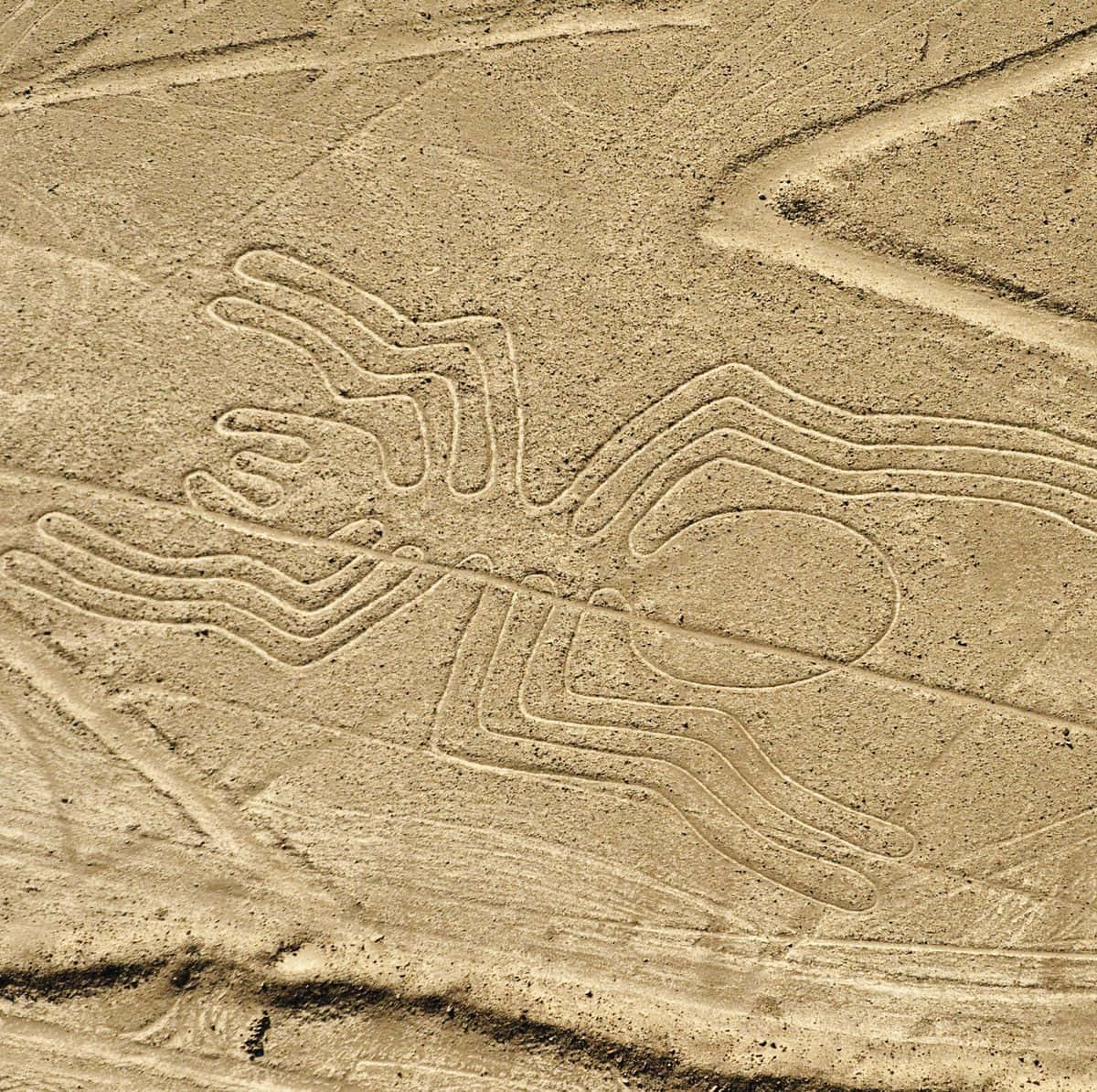 Les Lignes De Nazca Fond d'écran