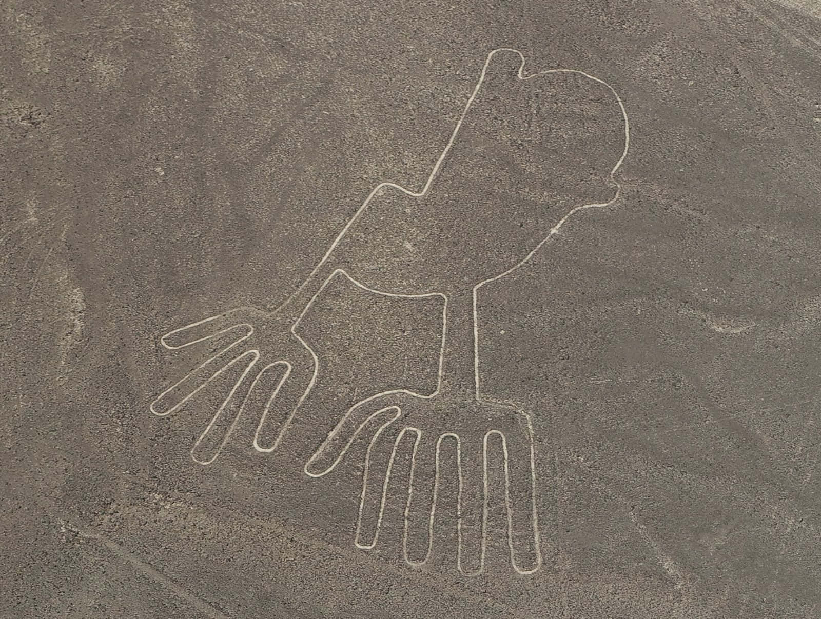 Les Lignes De Nazca Fond d'écran