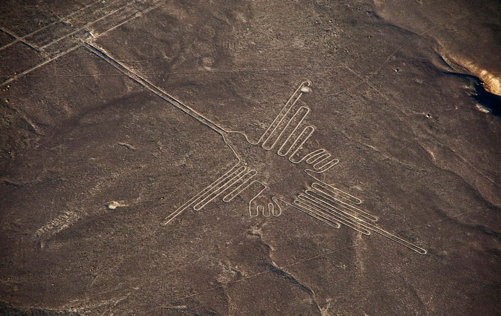 Les Lignes De Nazca Fond d'écran