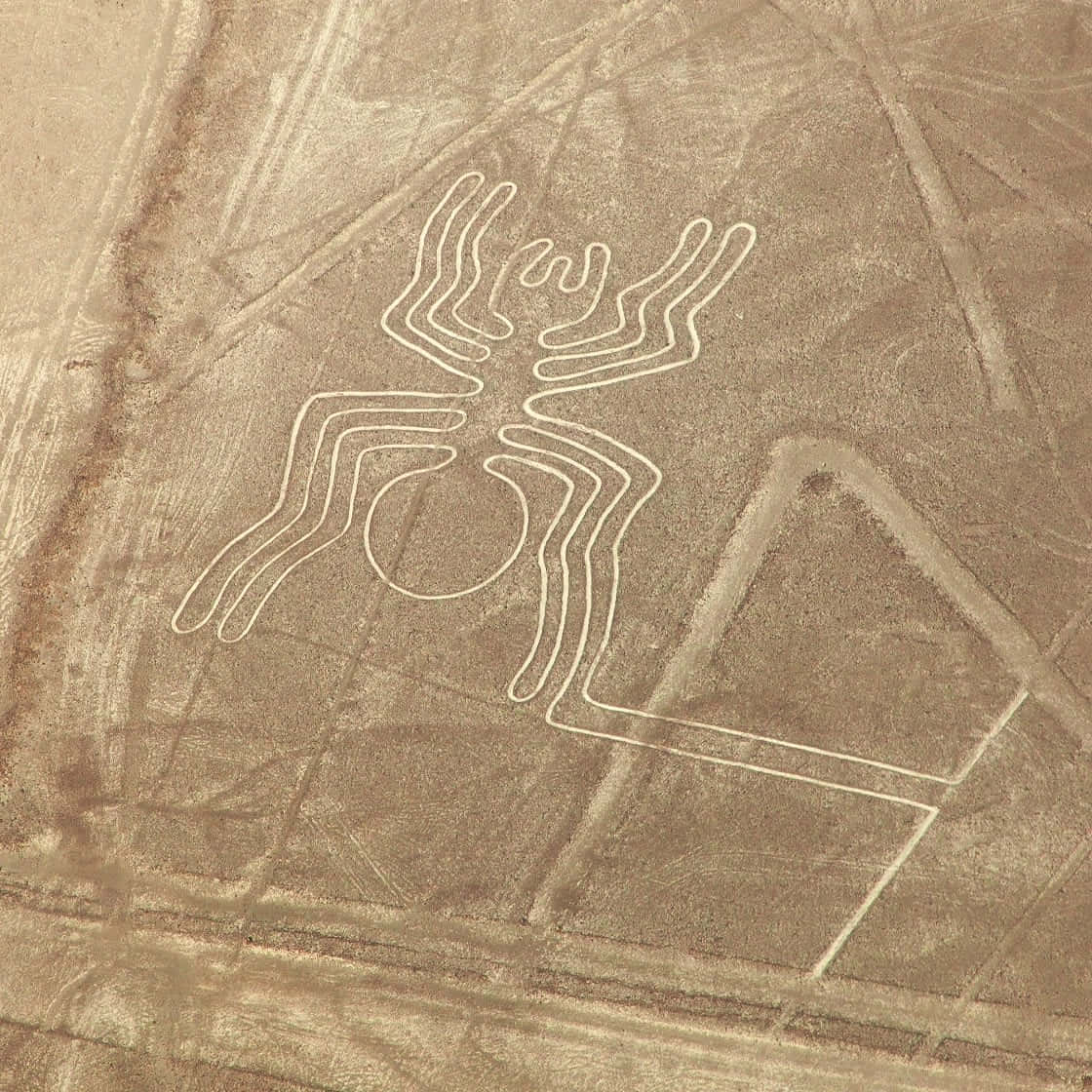 Les Lignes De Nazca Fond d'écran