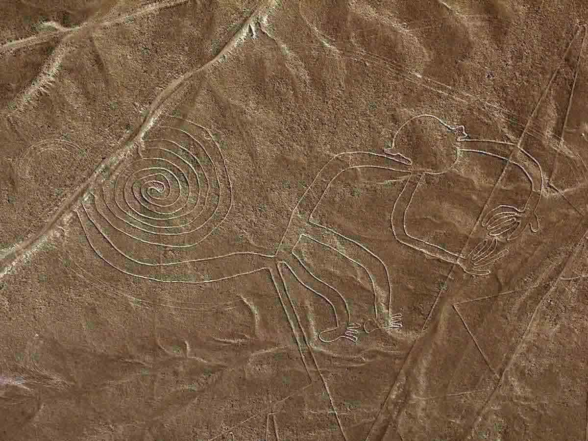 Een Majestueuze Luchtfoto Van De Nazca-lijnen Achtergrond