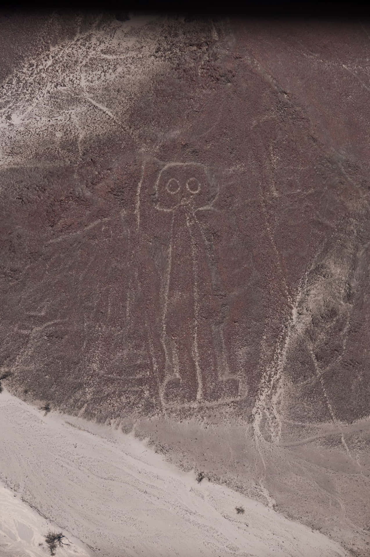 Unraveling The Enigma of The Ancient Nazca Lines Wallpaper