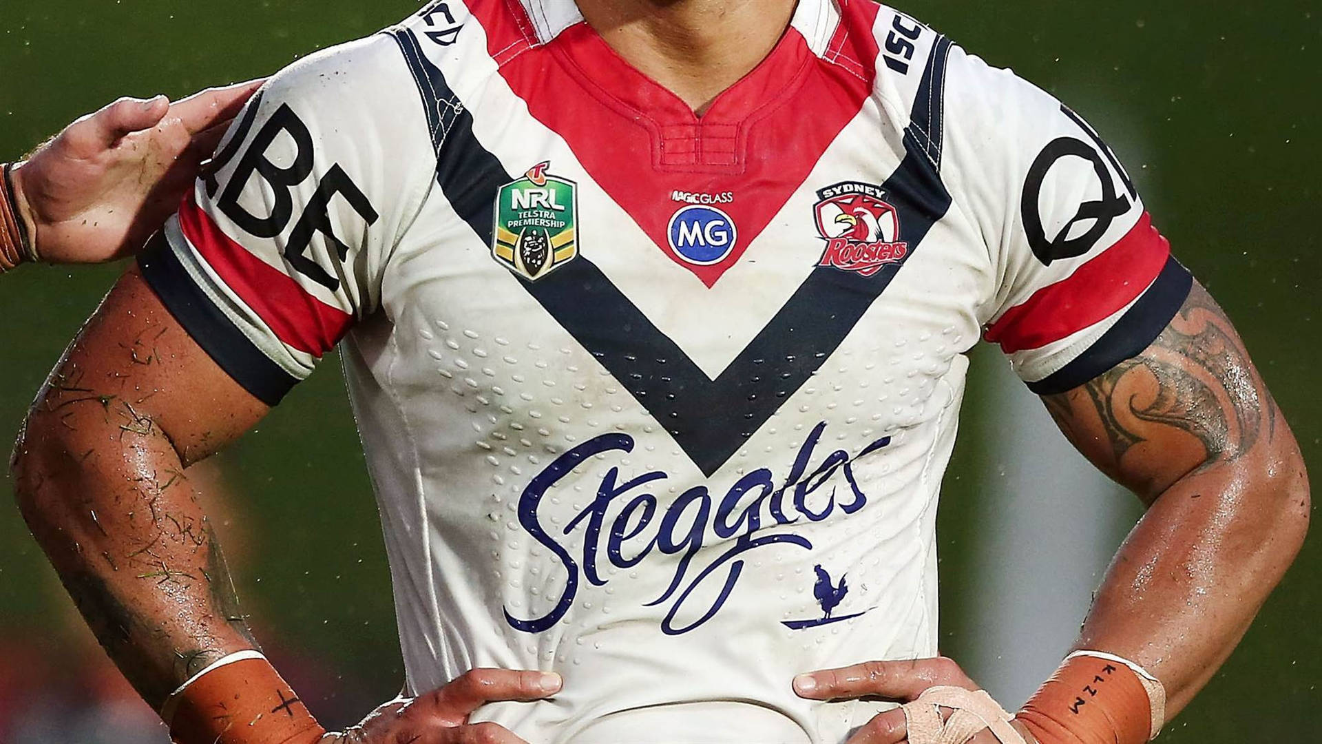 Sydney Rooster's official NRL jersey Wallpaper