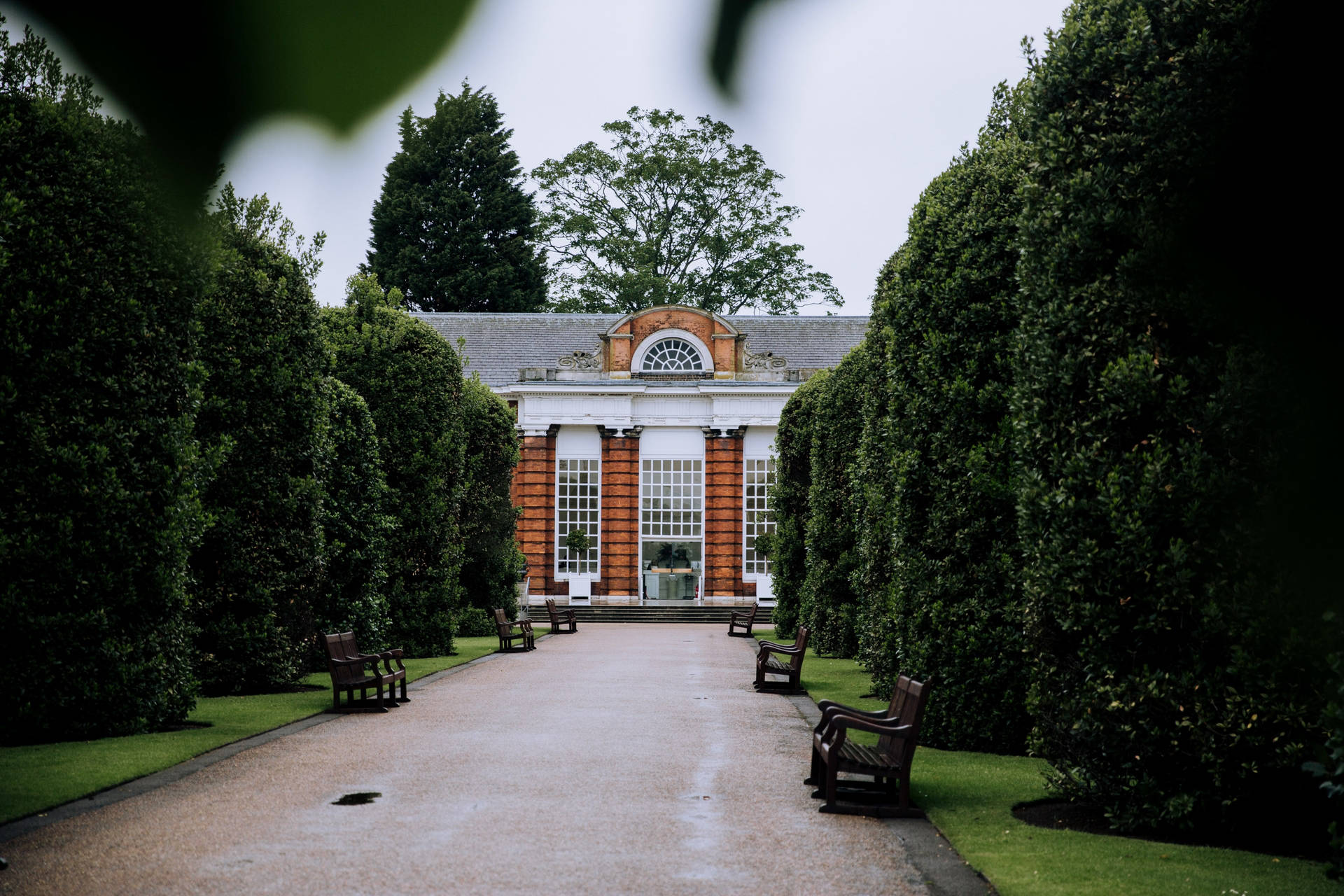 The Orangery Inside Kensington Palace Picture