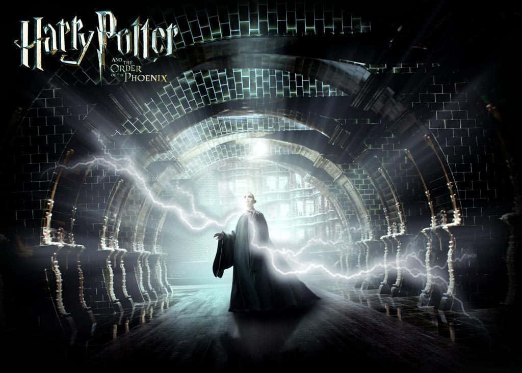 "Harry Potter and The Order of The Phoenix Prepare for Battle" Wallpaper