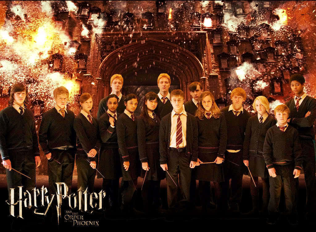 The Order of the Phoenix Unites Against Voldemort Wallpaper