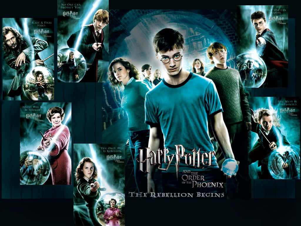 Harry Potter alongside friends from The Order of Phoenix Wallpaper