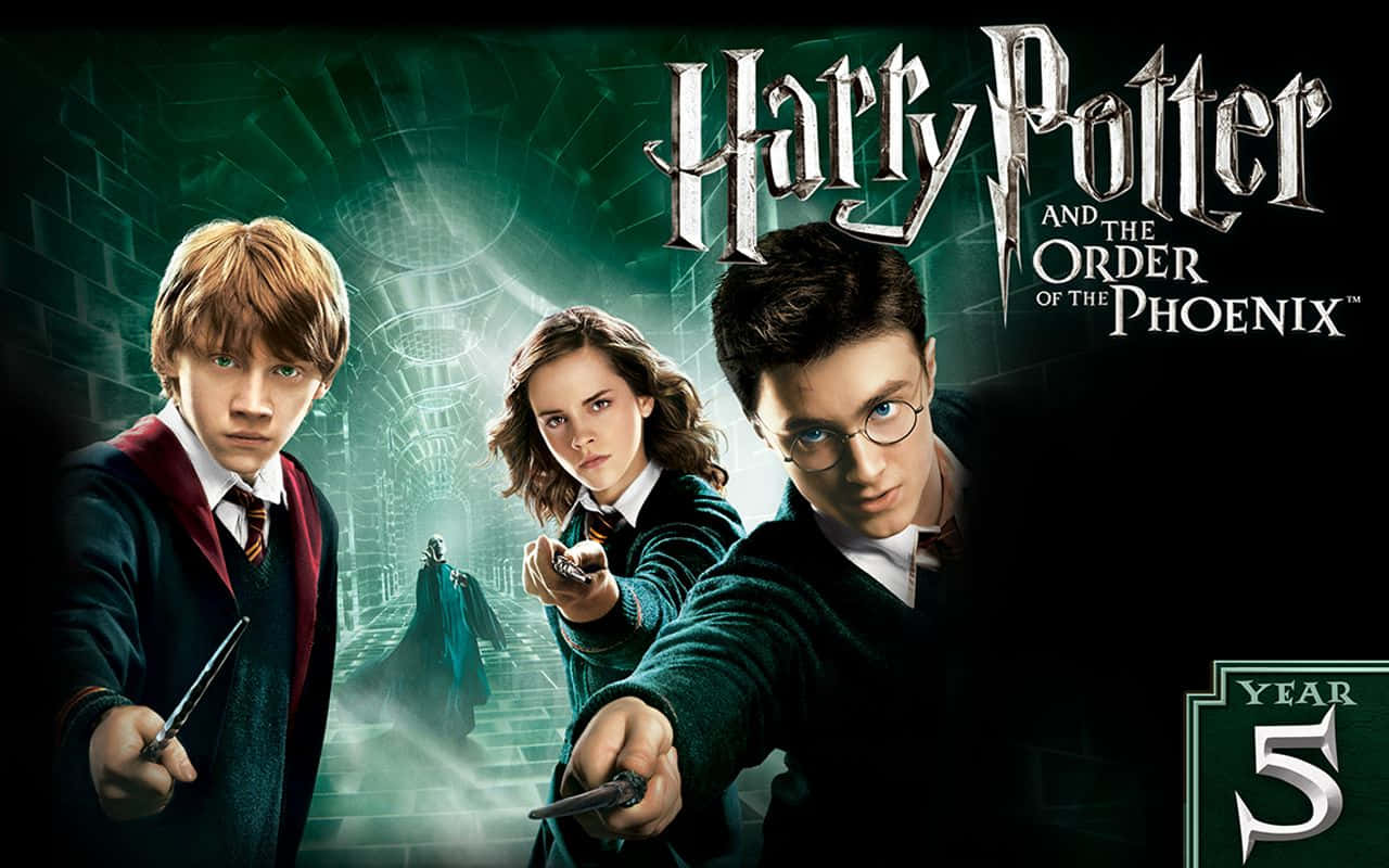 Join the Order of Phoenix and Fight with Harry Potter Wallpaper