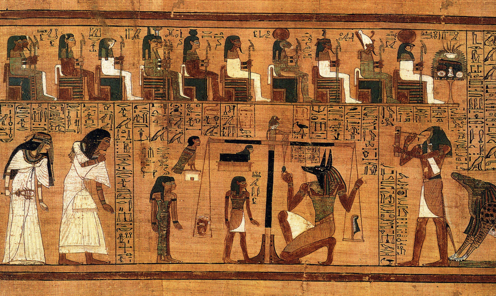 The Papyrus Of Ani Inside Egyptian Museum Wallpaper