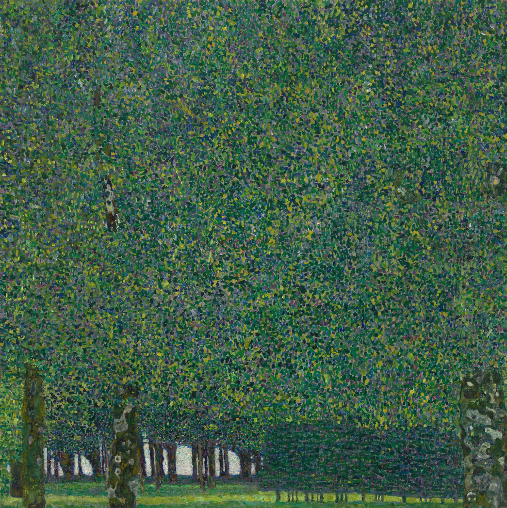 The Park Wallpaper